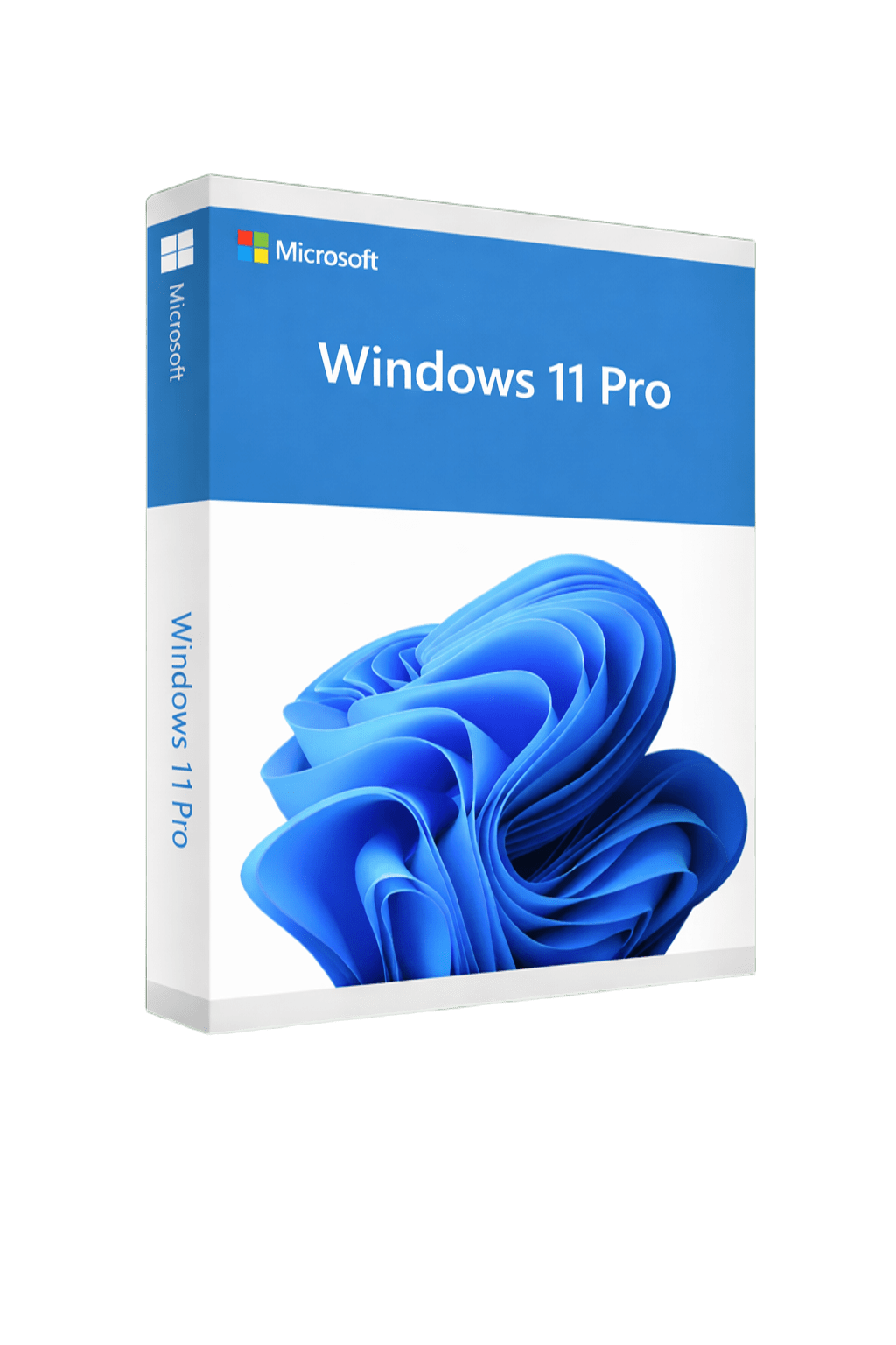 Windows 11 Pro